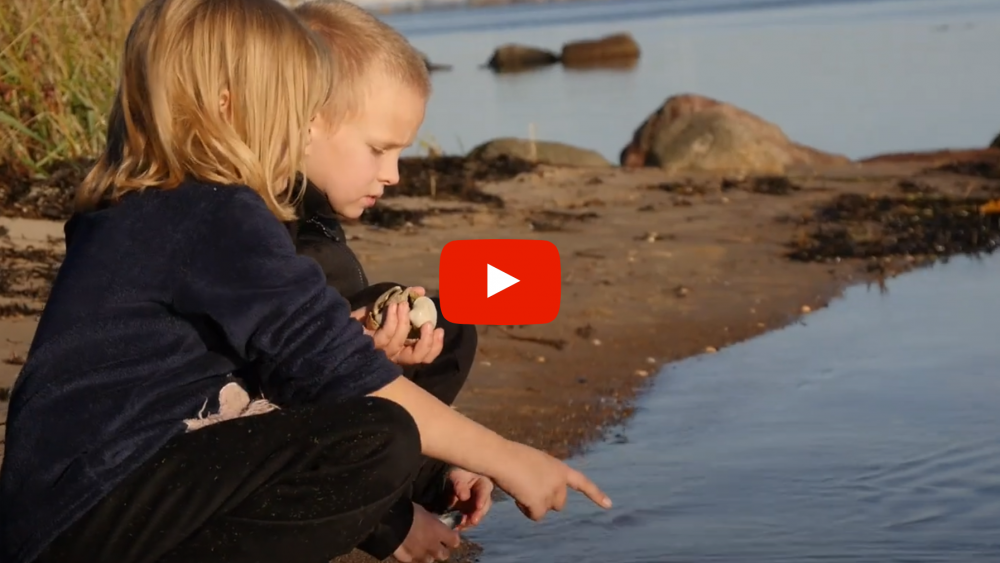 Video weekendlejr
