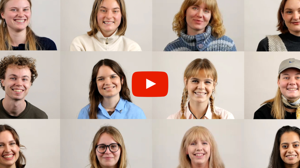 stilbilleder af video
