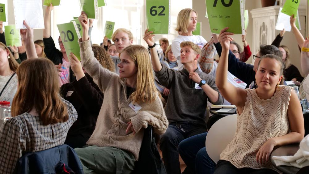 Landsmøde 2024_stemmesedler