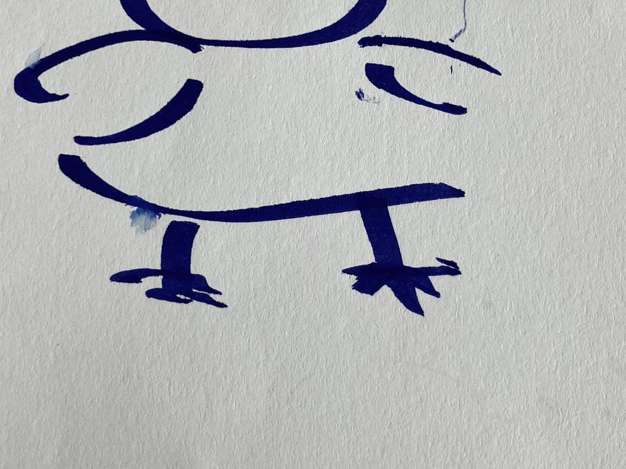 Fugle-postkort