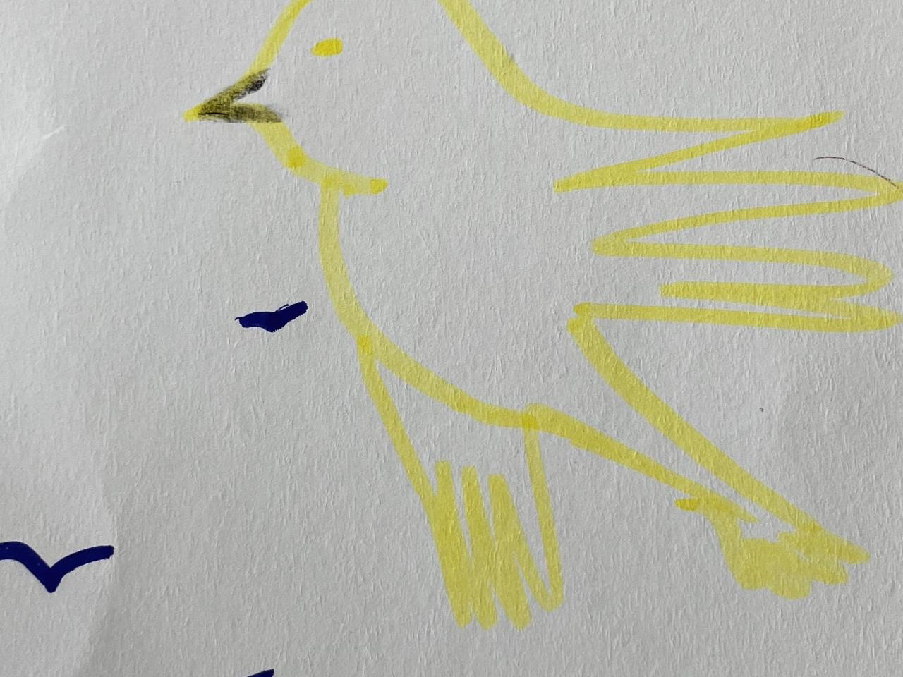Fugle-postkort